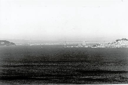 173.jpg, 18257 bytes, 25-08-00