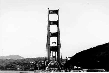 181.jpg, 14763 bytes, 25-08-00
