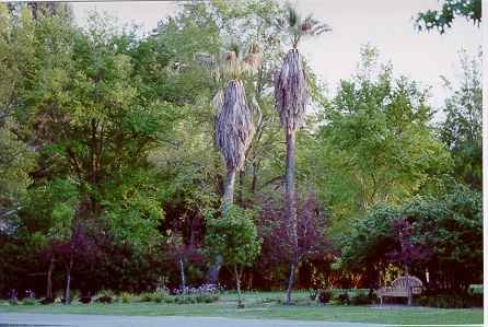 30.jpg, 21369 bytes, 19/06/00
