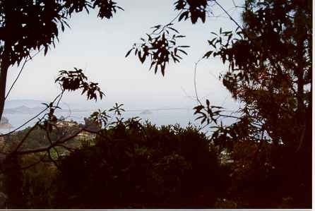 45.jpg, 16570 bytes, 19/06/00